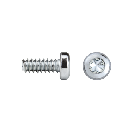 REMFORM®F laposfejű csavar FF81T TORX®