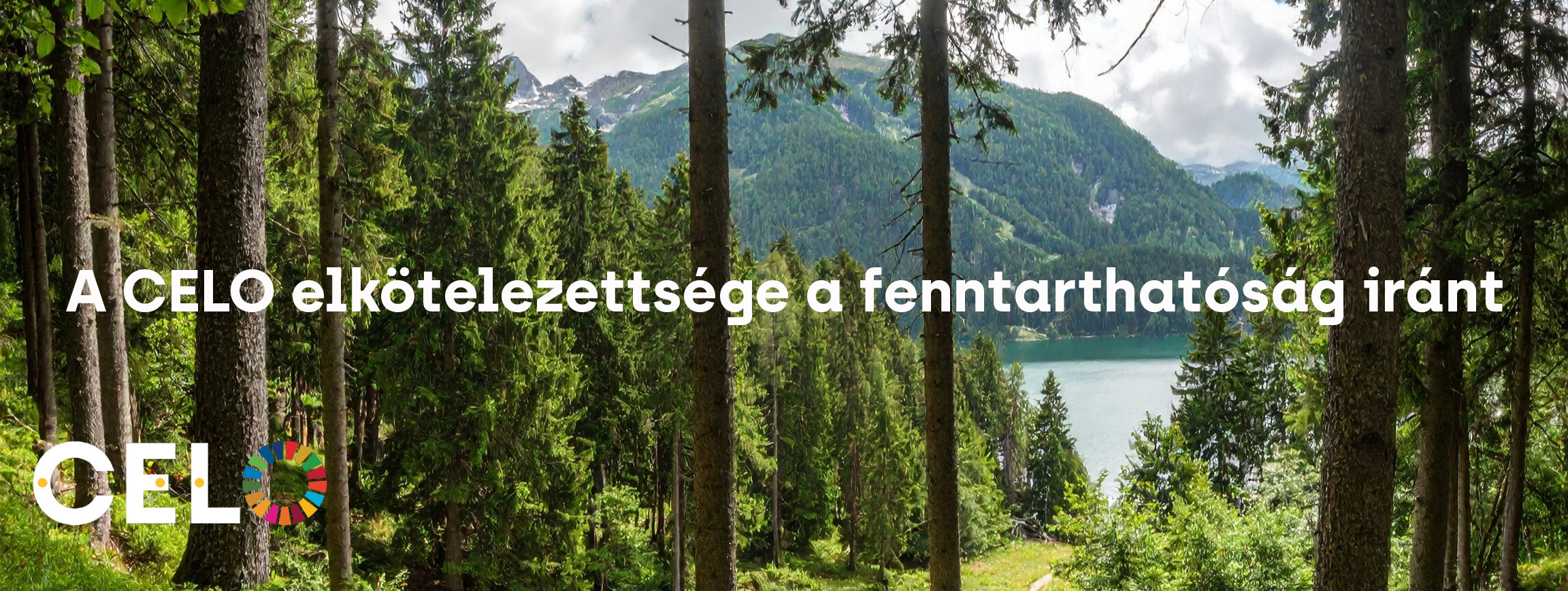Fenntarthatósági elkötelezettség | CELO ESG